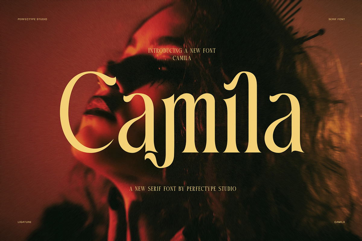 Camila Elegant Ligature Serif Font, a Serif Font by Perfectype (Photo 1 of 8)