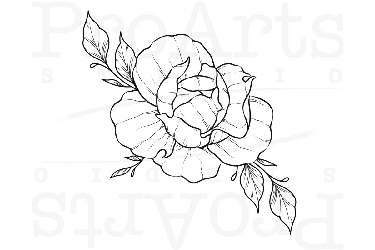 Peony Procreate Tattoo Brush Set, a Brush Add-On by Lucrumplus (Photo 3 of 10)
