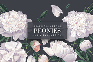 White Realistic Peonies Set