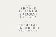Ivelyn - Elegant Display Font, a Serif Font by Brand Mágus (Thumbnail 5 of 8)