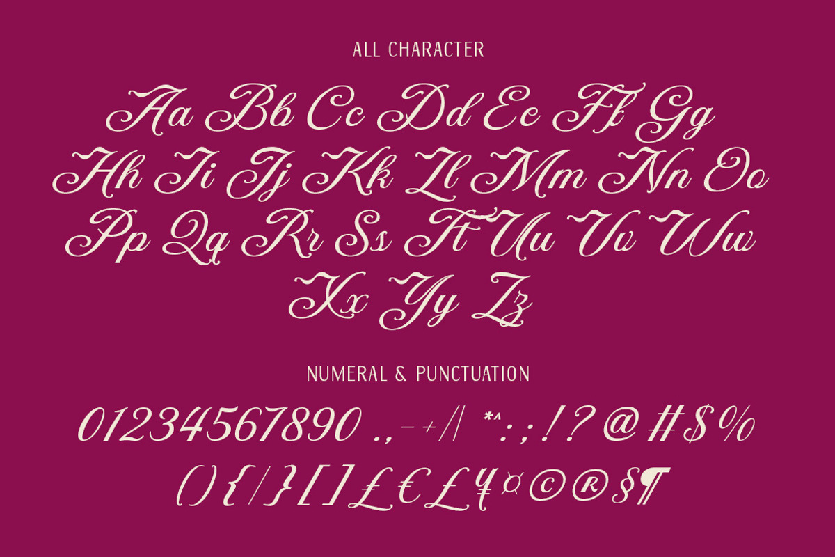 DT Maroon Champagne, a Handwritten Font by Dryy.type (Photo 9 of 15)