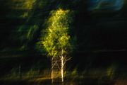15 Motion Blur Landscape Photo, a Background Photo by Fun Fusion Design (Thumbnail 6 of 11)