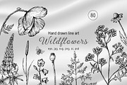 WILDFLOWERS Hand-drawn Line Art, a Seasonal Illustration by Navenzeles (Thumbnail 1 of 13)