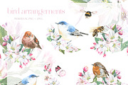 Watercolor Spring Birds Robin, an Illustration by Catherine Wheel (Thumbnail 3 of 11)