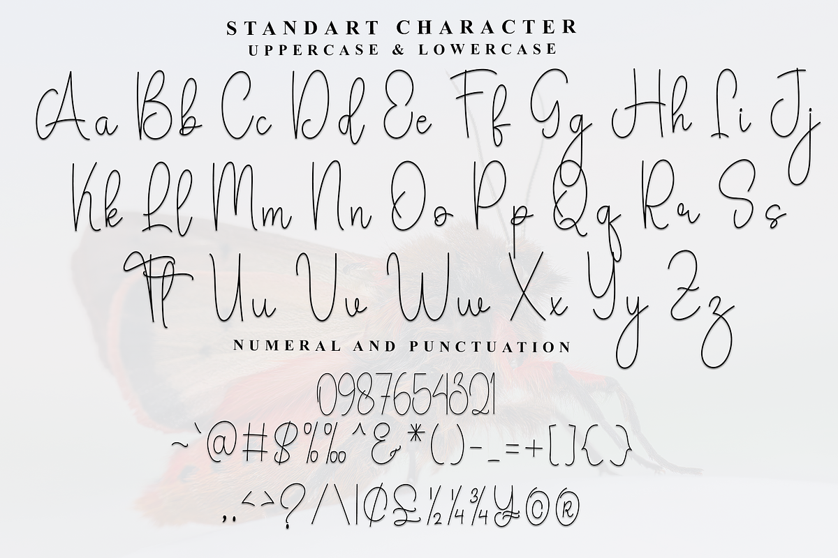 Valentines, a Handwritten Font by InermediaSTUDIO (Photo 5 of 8)