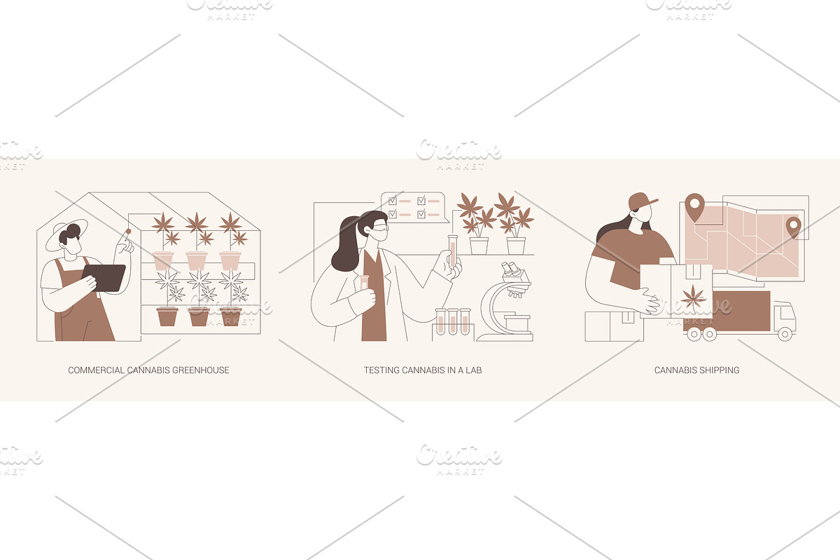 Commercial cannabis cultivation, a Person Illustration by Visual Generation