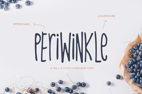 Periwinkle Typeface preview 7
