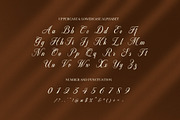 Wornys Wedding Script Font, a Script Font by Elegant Font (Thumbnail 8 of 8)