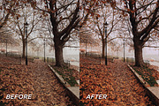 15 Autumnal Lightroom Presets, a Preset Add-On by TheWayfarerShoppe (Thumbnail 7 of 8)