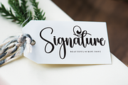 Whiskey | Script Font, a Handwritten Font by Scratchones (Thumbnail 5 of 9)