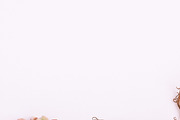 Pack 32 i styled stock stock photo containing minimalist and succulents, a Business Photo by SophieStockBoutique (Thumbnail 4 of 4)