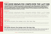 Multigenum - Serif font family, a Serif Font by Artistic & Unique (Thumbnail 4 of 15)