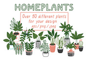 HOMEPLANTS | clip arts collection, a Decorative Illustration by Nastya Tkachova (Thumbnail 2 of 11)