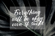 Dayden Batemisy - Brush Script Font, a Script Font by StringLabs (Thumbnail 2 of 11)