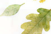 Cozy Autumn Leaves, a Decorative Illustration by yahu88studio (Thumbnail 3 of 3)