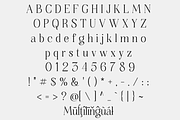 Thenyodia – Font Family, a Serif Font by NDNL Studio (Thumbnail 11 of 12)