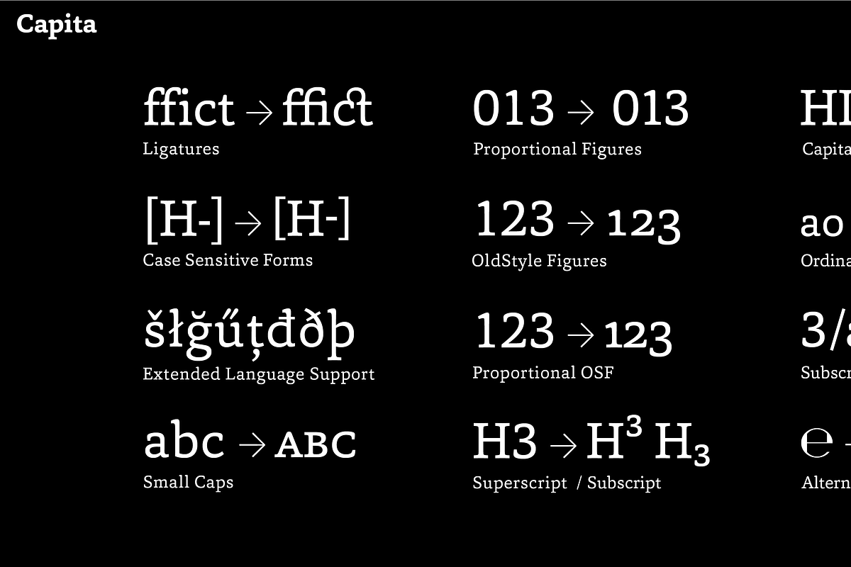 Capita, a Serif Font by Hoftype (Photo 15 of 15)