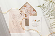 Peony Love watercolor patterns, an Illustration by Angele Kamp (Thumbnail 2 of 10)