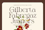 Midkon Elegant Serif Font, a Serif Font by Elegant Font (Thumbnail 5 of 8)