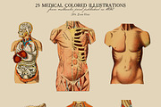 25 Medical Colored Illustrations, a Healthcare Illustration by Unember (Thumbnail 4 of 4)