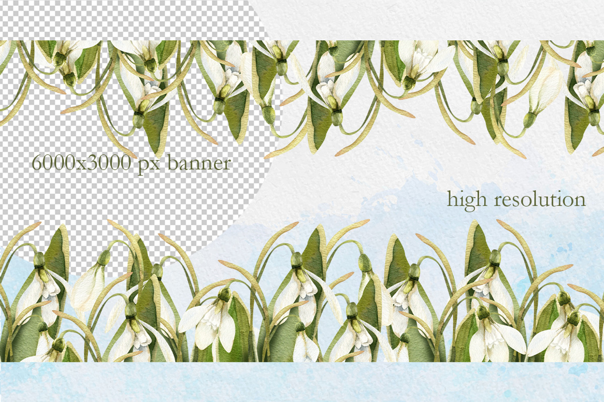Snowdrops flowers watercolor clipart, a Decorative Illustration by Pegion art shop (Photo 6 of 11)