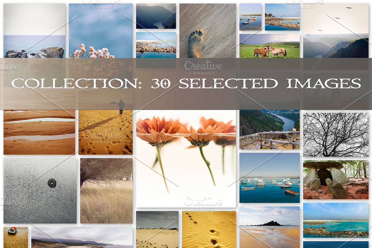 90% Off Collection+Bonus, a Templates & Theme by Geasuha (Photo 2 of 3)