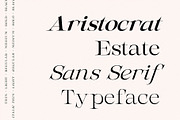 AristocratEstate - Luxury Serif Type, a Serif Font by HipFonts (Thumbnail 1 of 9)