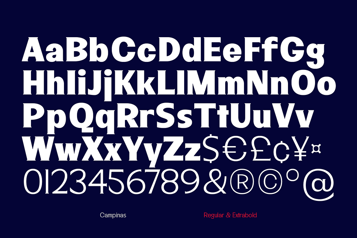 Campinas Typefamily, a Serif Font by Jehoo Creative (Photo 4 of 9)