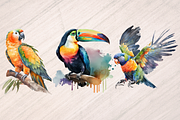 Watercolor Exotic Bids - 32 PNGs, an Animal Illustration by Leakedink (Thumbnail 3 of 3)