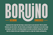 Boruino - Modern Condesed Font, a Sans Serif Font by MaikoHatta (Thumbnail 5 of 9)
