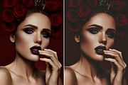 550 Portrait Lightroom Presets, an Action Add-On by LUXDesignStudios (Thumbnail 6 of 8)