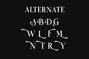 Griena Elegant Serif, a Serif Font by Maryamtype Studio (Thumbnail 12 of 15)