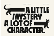 Decoma - Bold Geometric Font, a Sans Serif Font by limitype (Thumbnail 5 of 12)