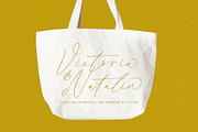 Modesta Outlook Stylish Handwritten, a Script Font by stylishtype.co (Thumbnail 3 of 20)