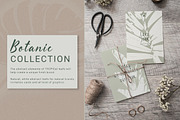 Abstract Botanic Collection, a Texture Graphic by Luna Sonego Design (Thumbnail 4 of 7)