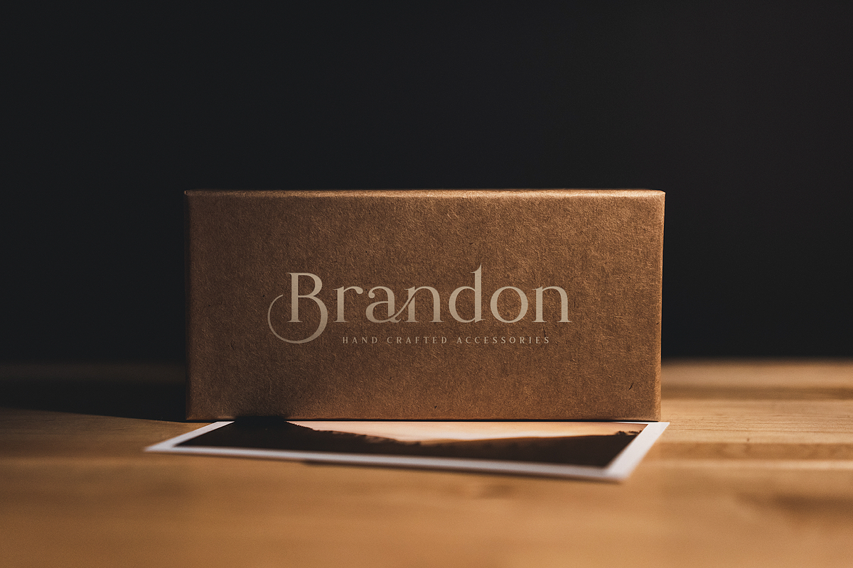 Romanson, a Serif Font by Larin Type Co. (Photo 9 of 14)