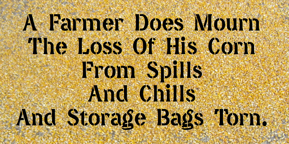 DavidFarewellStencil, a Sans Serif Font by Ingrimayne Type (Photo 4 of 5)
