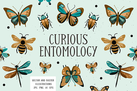 Curious Entomology Collection