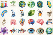 Biology Clipart Bundle, an Illustration by DreamCafeArt (Thumbnail 4 of 4)