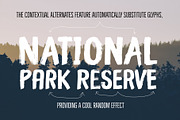 Bridgewater - 3 fonts, a Font by Leitmotif (Thumbnail 2 of 7)