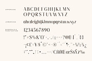 Qiblah New Modern Sans Serif, a Sans Serif Font by Storytype Studio (Thumbnail 13 of 15)