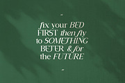 Daleant - Serif Font (10 Fonts), a Serif Font by Maculinc Type (Thumbnail 11 of 18)