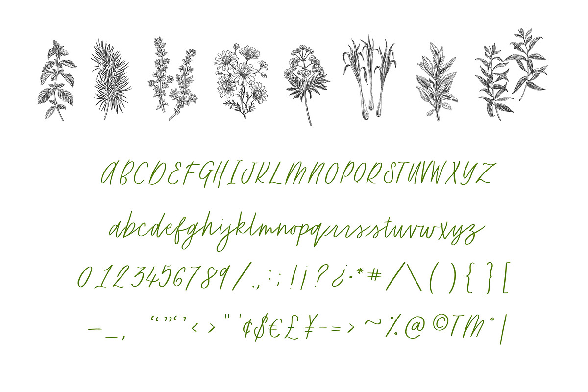Lemon Verbena Handwritten Font preview 5