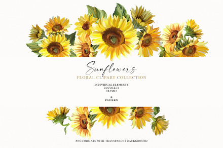 Sunflowers clipart collection