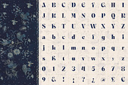 Ornable Experimental Typeface, a Serif Font by Casloop Studio (Thumbnail 6 of 8)