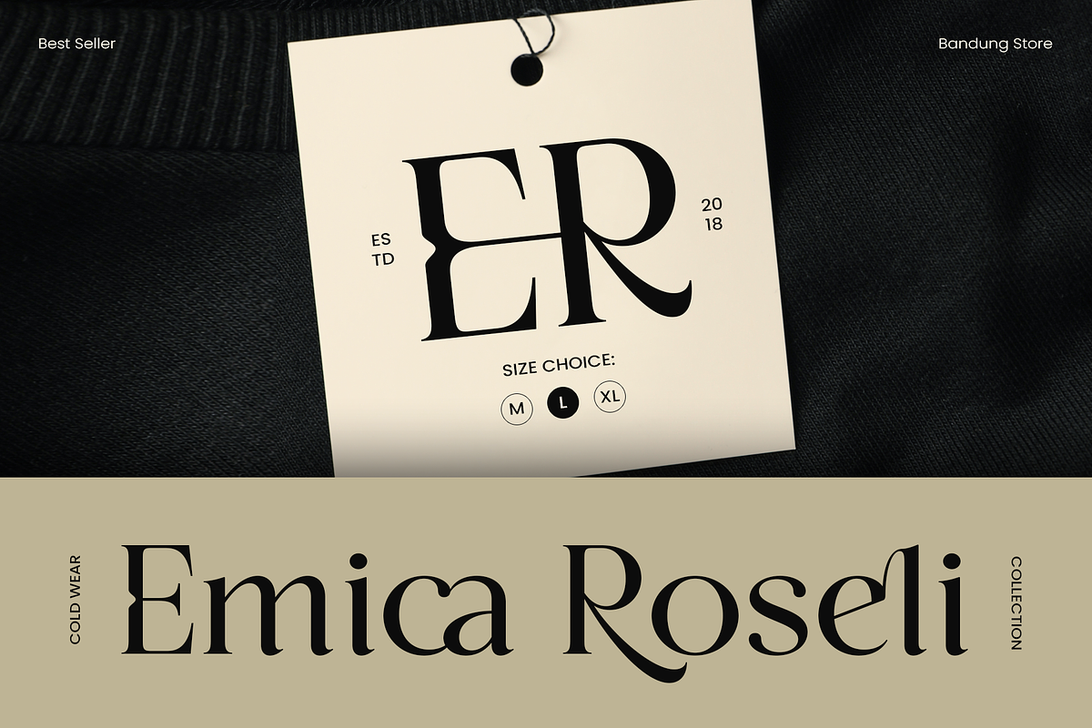Sonice - Modern Luxury Font, a Serif Font by Vampstudio (Photo 10 of 13)