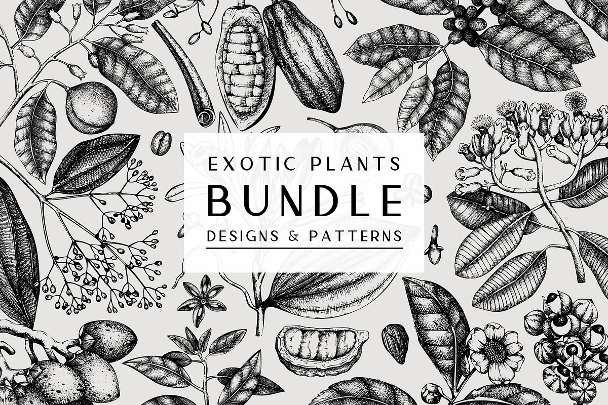 Exotic Plants. Designs & Patterns., a Pattern Graphic by Yevheniia (Photo 1 of 9)