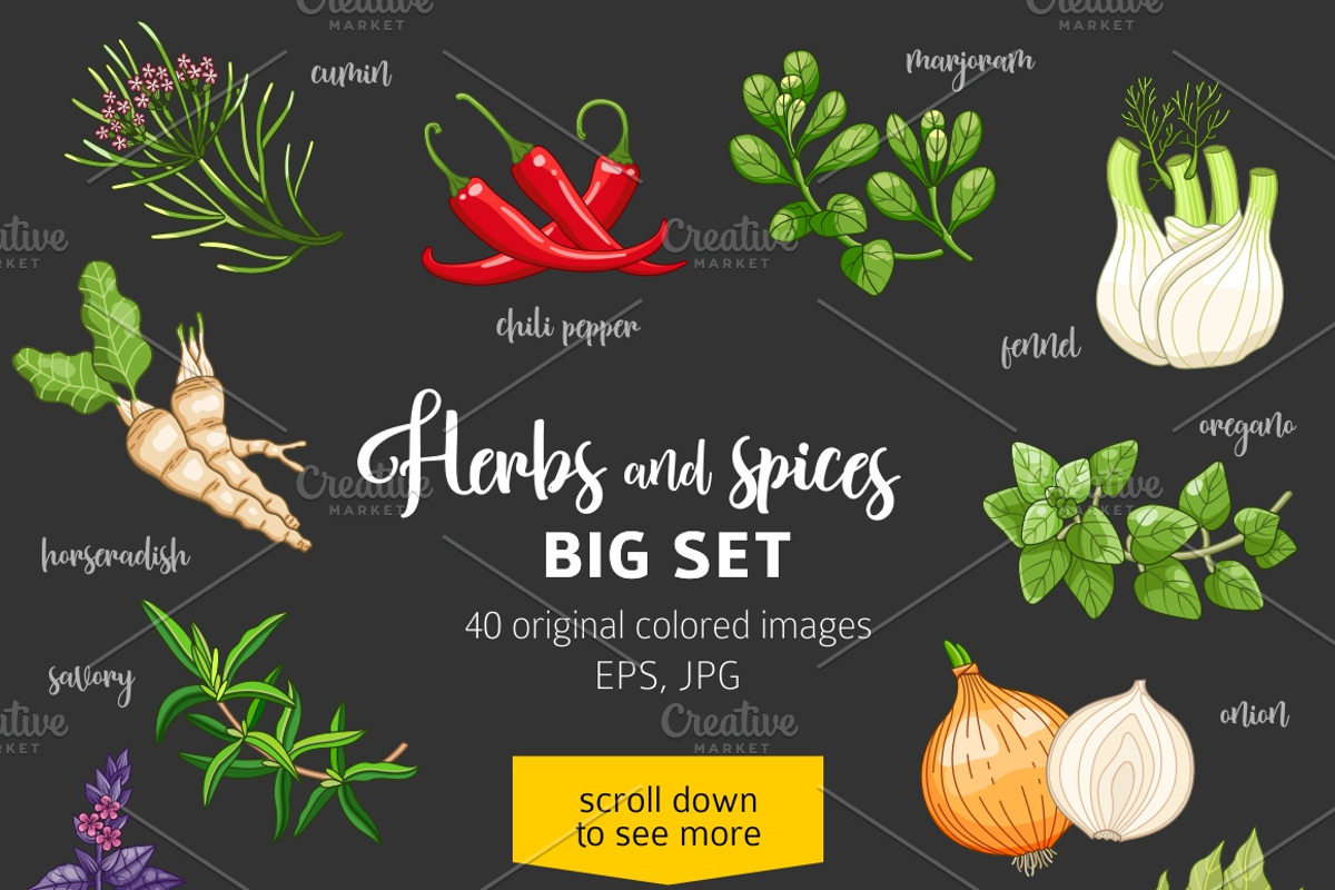 40 colored spices and herbs on dark, a Food Illustration by Primula`s shop (Photo 2 of 2)