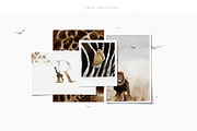 African Safari Watercolor Collection, an Animal Illustration by Creativeqube Design (Thumbnail 3 of 16)