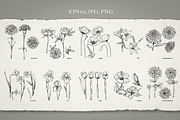 Set of Flowers, an Illustration by Victoria_Novak (Thumbnail 2 of 5)